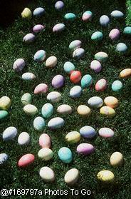 Colored Easter eggs on grass